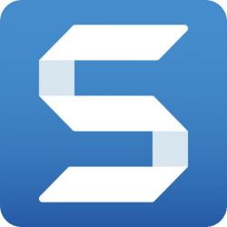 snagit service